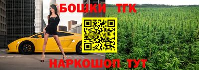 гашик Будённовск