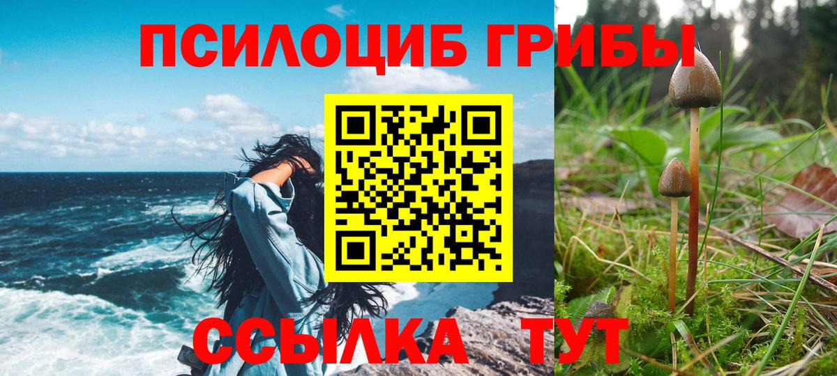 Кумертау  Псилоцибиновые грибы Psilocybe  Вход с VPN 