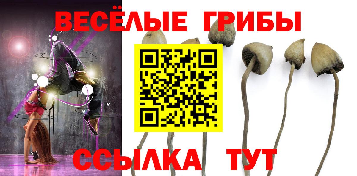 Галлюциногенные грибы Psilocybe Кумертау
